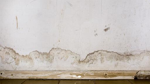 Your Trusted Experts for Plumbing Leaks in Your Home in Creighton
